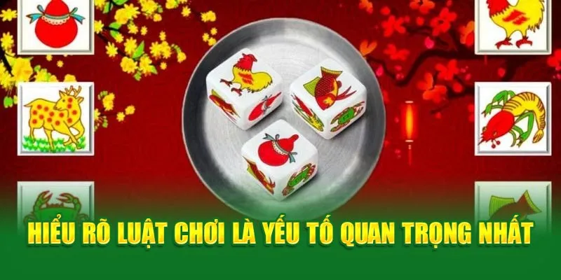 Hiểu rõ luật là yếu tố quan trọng nhất