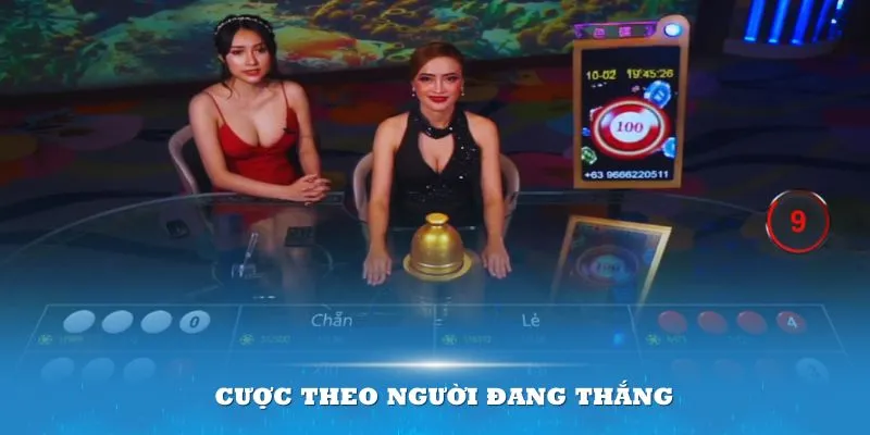 Chơi xóc đĩa online hiệu quả bằng cách cược theo người đang thắng