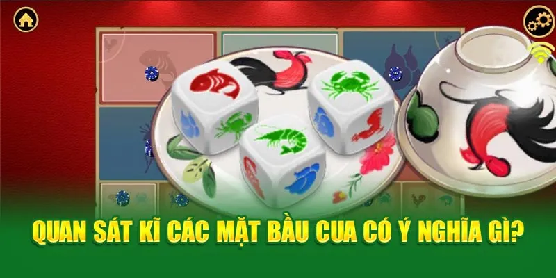 Quan sát kĩ các mặt có ý nghĩa gì?